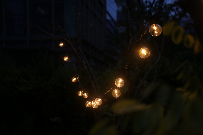 Partyslinga 20 LED Varmvit 5 m